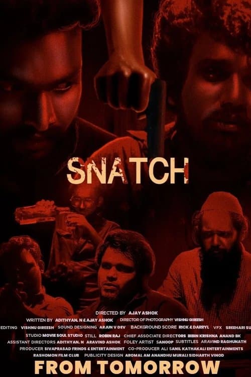 Snatch afişi