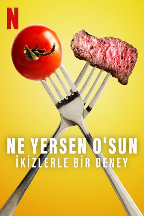 Ne Yersen O'sun: İkizlerle Bir Deney afişi