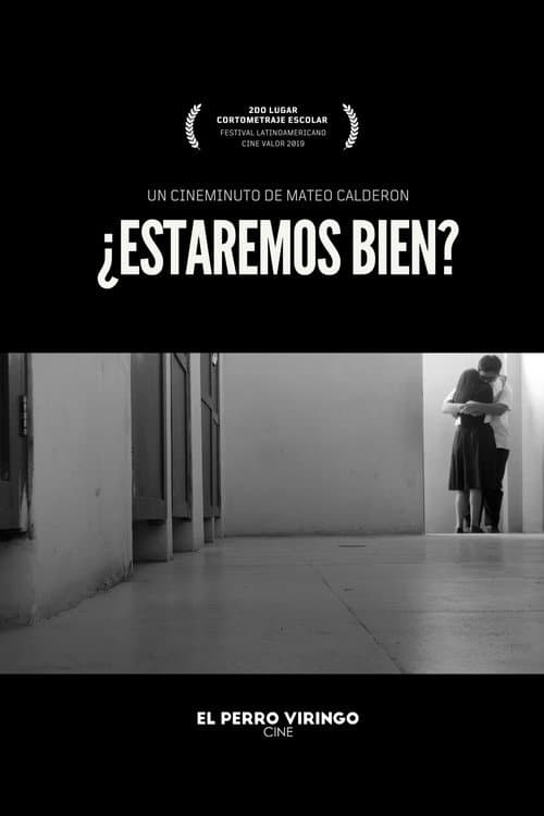 ¿Estaremos bien? afişi
