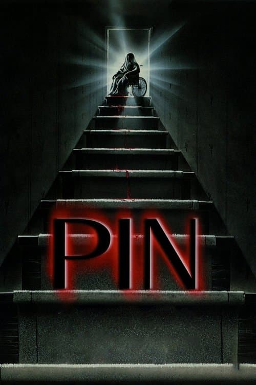 Pin afişi