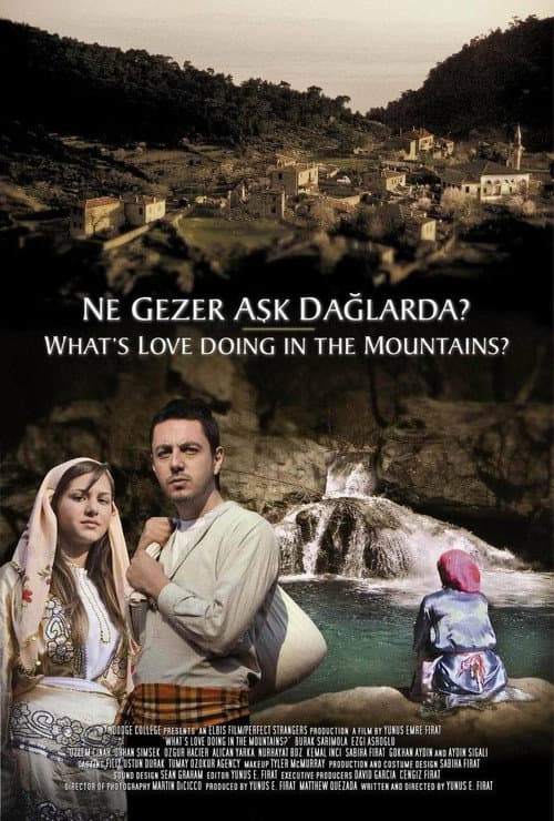 Ne Gezer Aşk Dağlarda? afişi