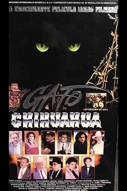 El gato de Chihuahua afişi
