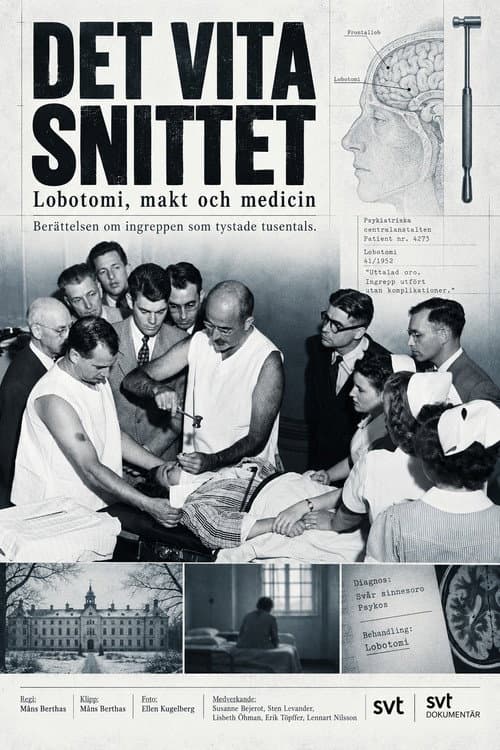 Det vita snittet afişi