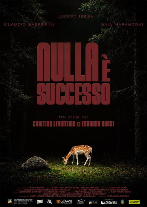 Nulla è successo afişi