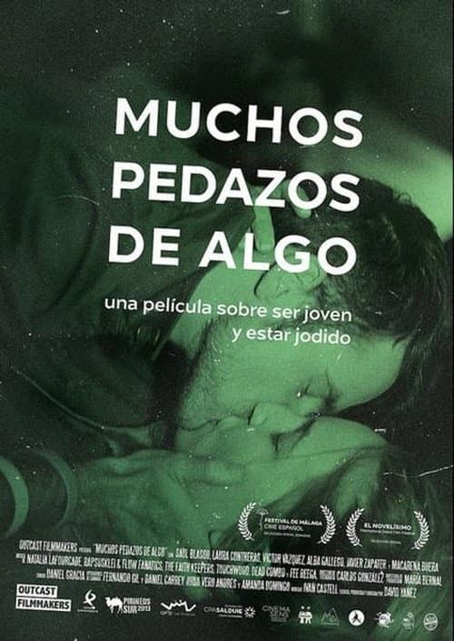 Muchos pedazos de algo afişi