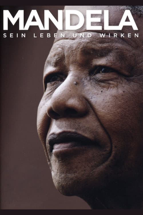 Madiba: The Life and Times of Nelson Mandela afişi