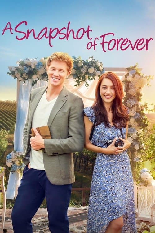 A Snapshot of Forever afişi