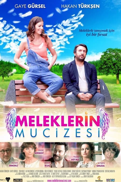 Meleklerin Mucizesi afişi