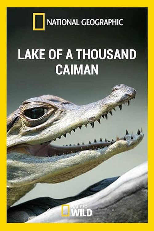 Lake of A Thousand Caiman afişi