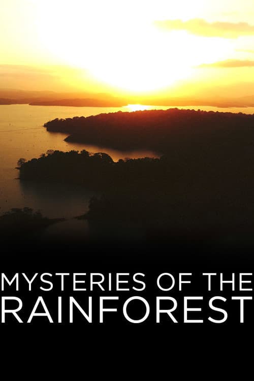 Mysteries of the Rainforest afişi