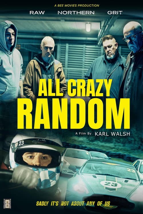 All Crazy Random afişi