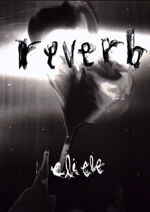 Reverb afişi
