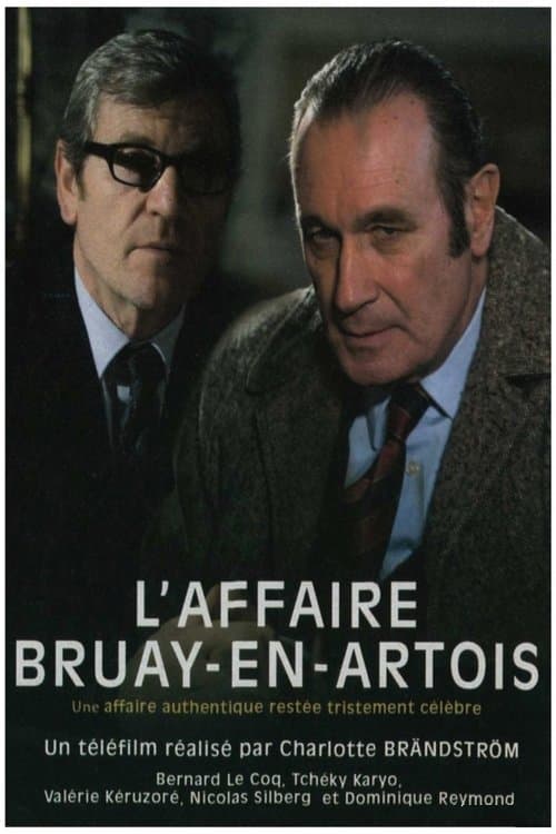 L'Affaire Bruay-en-Artois afişi