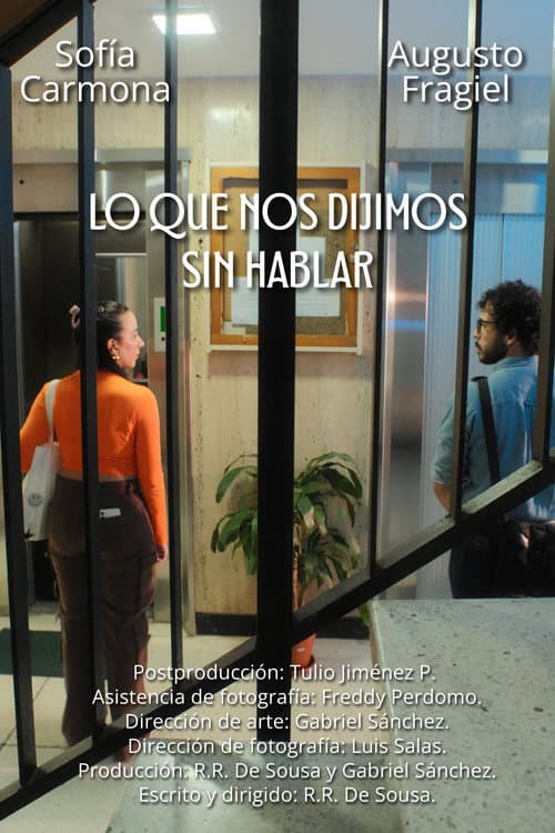 Lo que nos dijimos sin hablar afişi