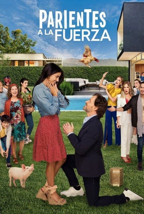 Parientes a la Fuerza afişi