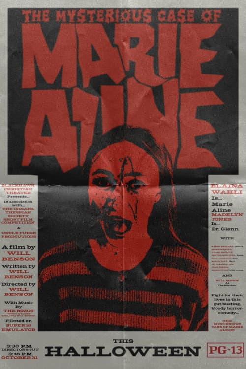 The Mysterious Case of Marie Aline afişi