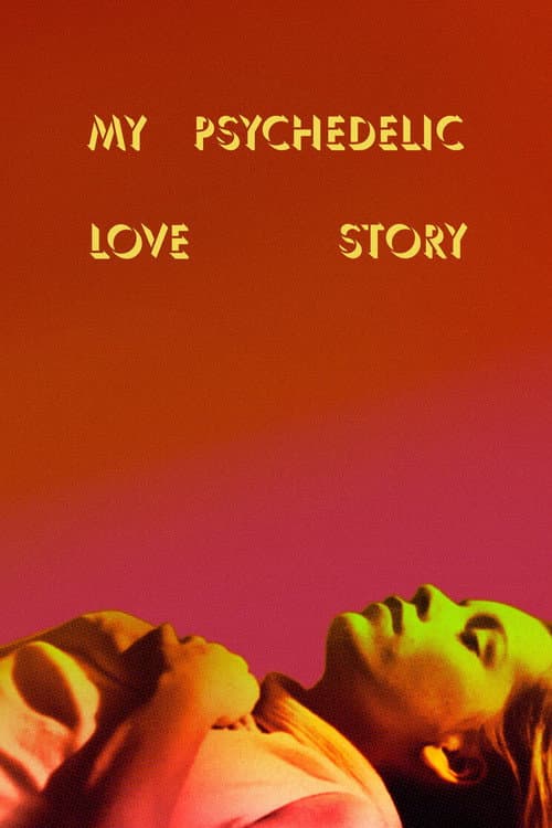 My Psychedelic Love Story afişi