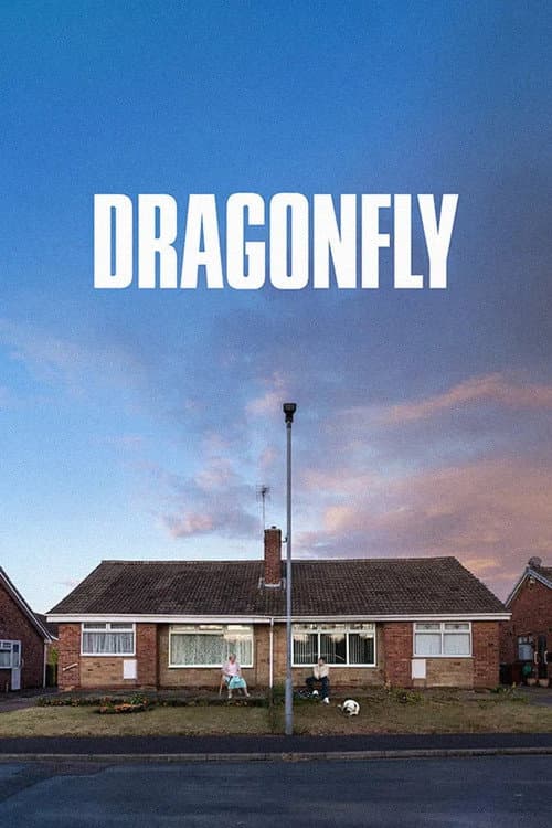 Dragonfly afişi