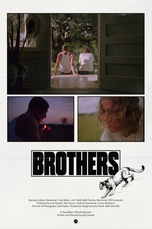 Brothers afişi