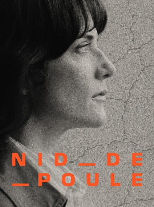 Nid-de-poule - Nos routes, un danger public? afişi