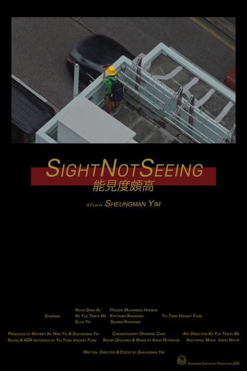 SightNotSeeing afişi