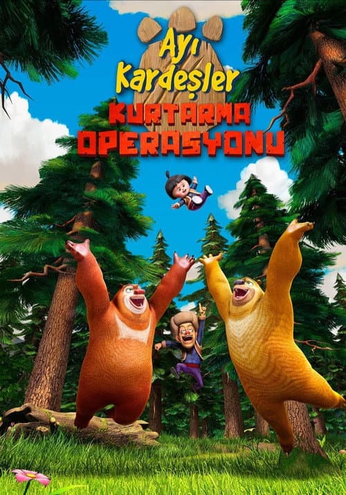 Ayı Kardeşler: Kurtarma Operasyonu afişi