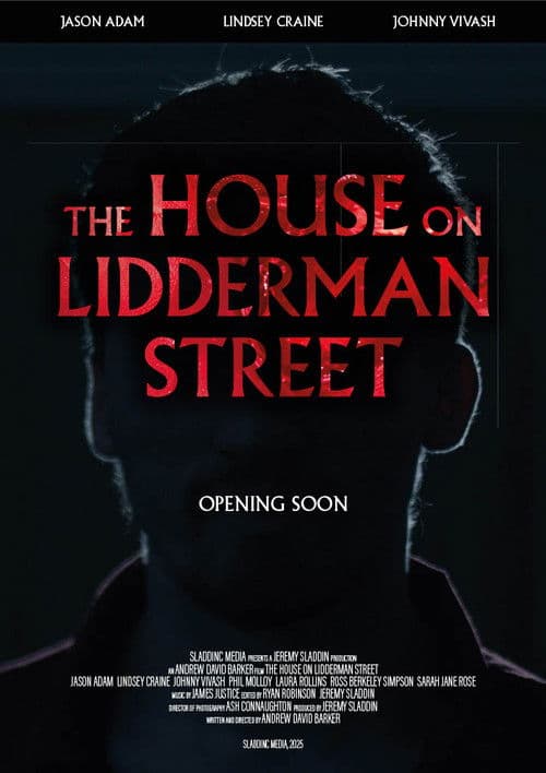 The House on Lidderman Street afişi