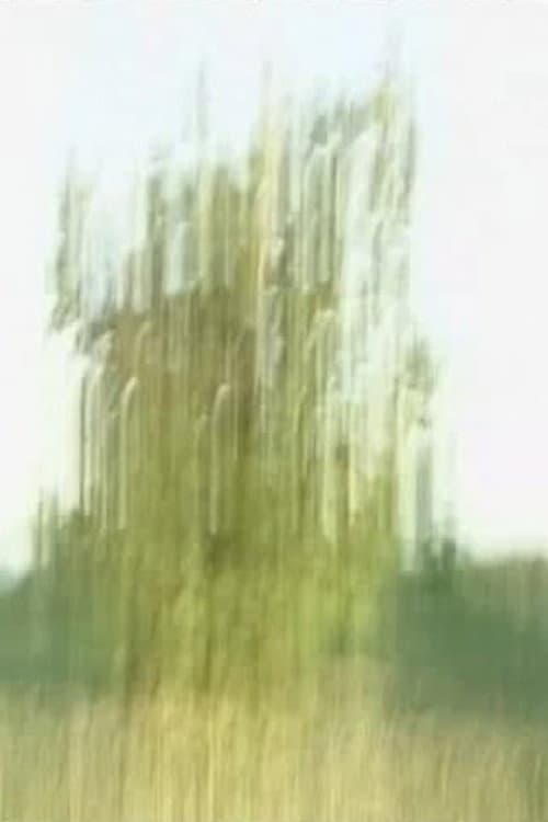Tree afişi