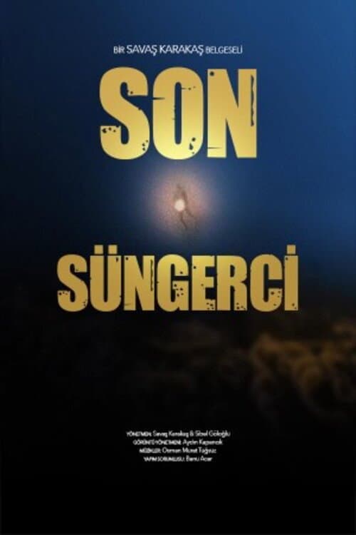 Son Süngerci afişi