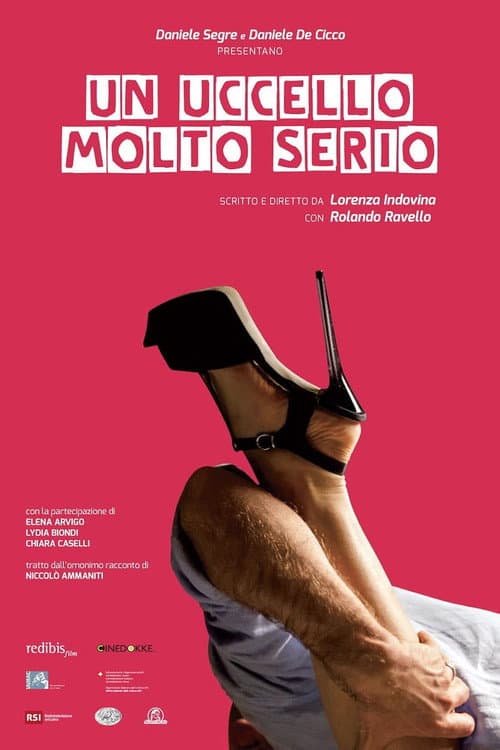 Un uccello molto serio afişi