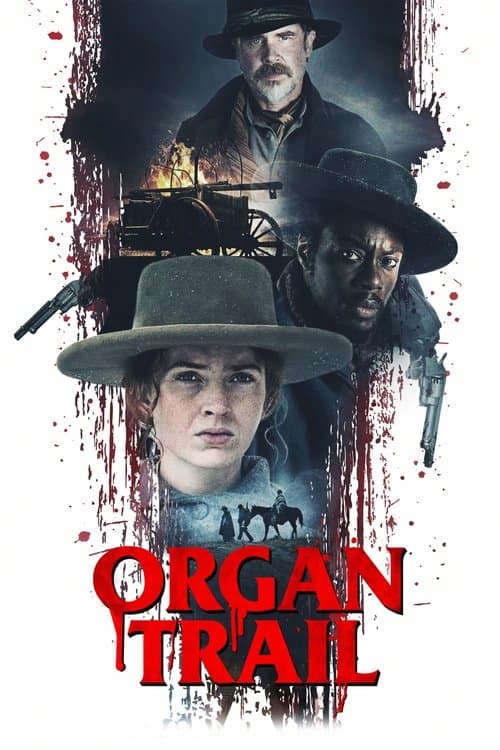Organ Yolu afişi