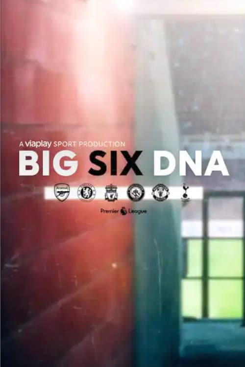 Big Six DNA afişi