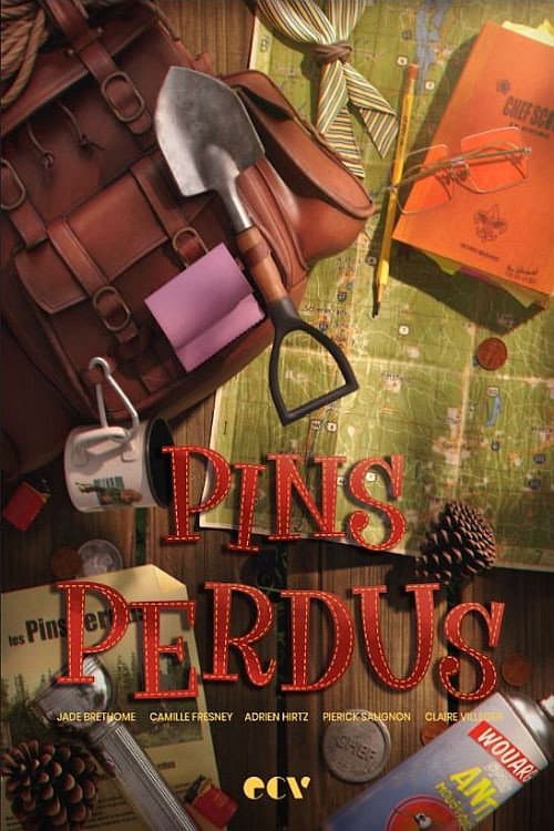 Pins perdus afişi
