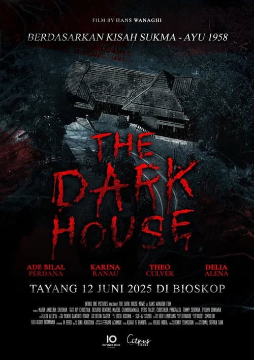 The Dark House afişi