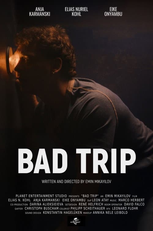 Bad Trip afişi