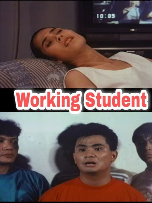 Working Students afişi