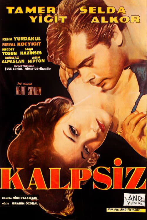 Kalpsiz afişi