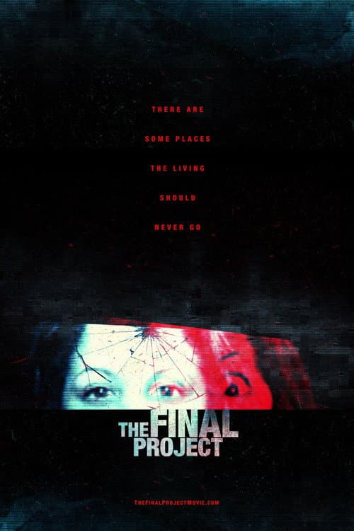 The Final Project afişi