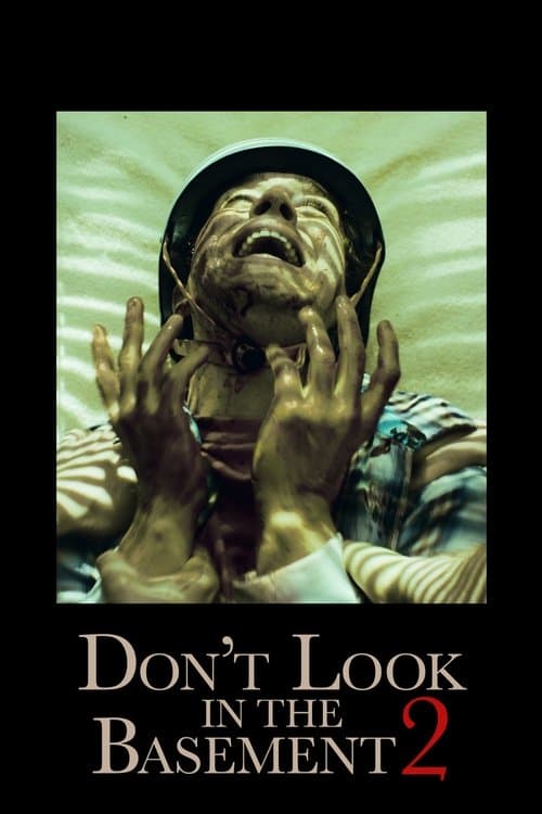 Don't Look in the Basement 2 afişi