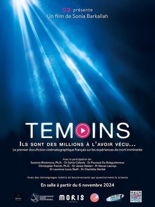 Témoins afişi