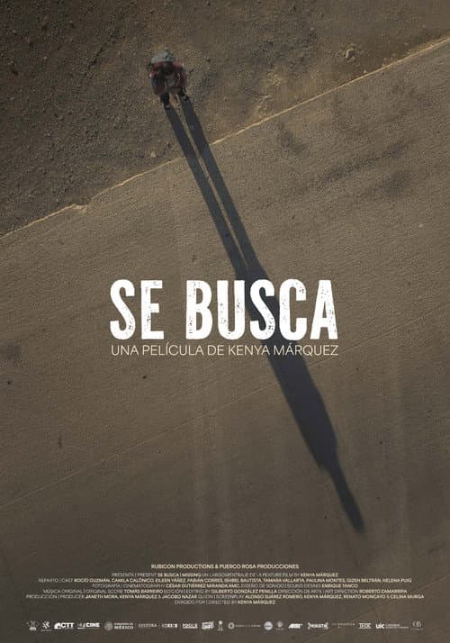 Se busca afişi