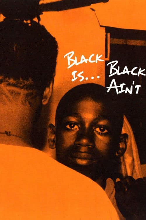 Black Is… Black Ain’t afişi