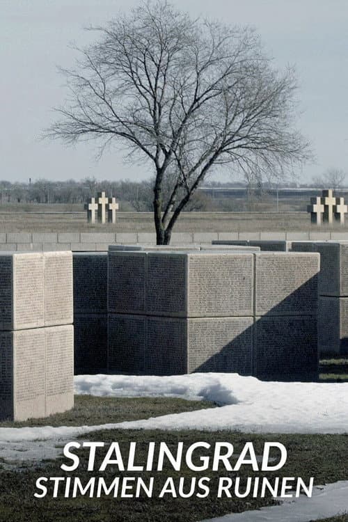 Stalingrad - Stimmen aus Ruinen afişi