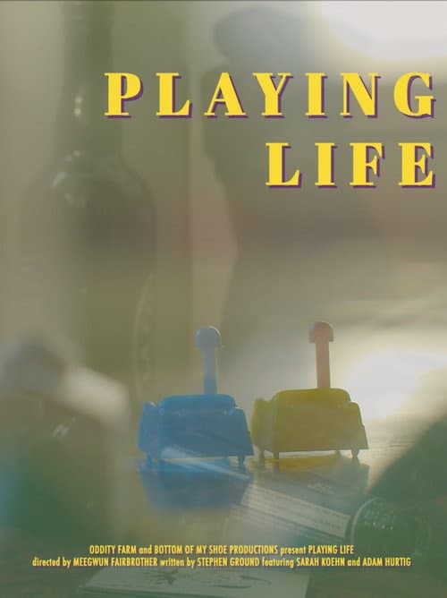 Playing Life afişi