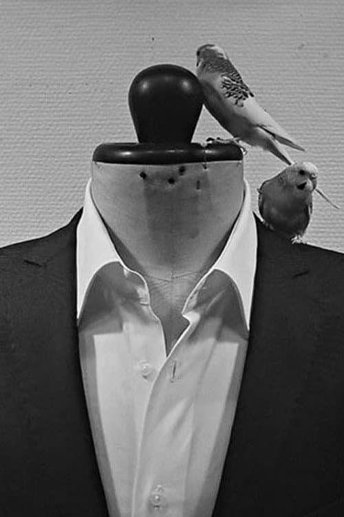 Tailor afişi