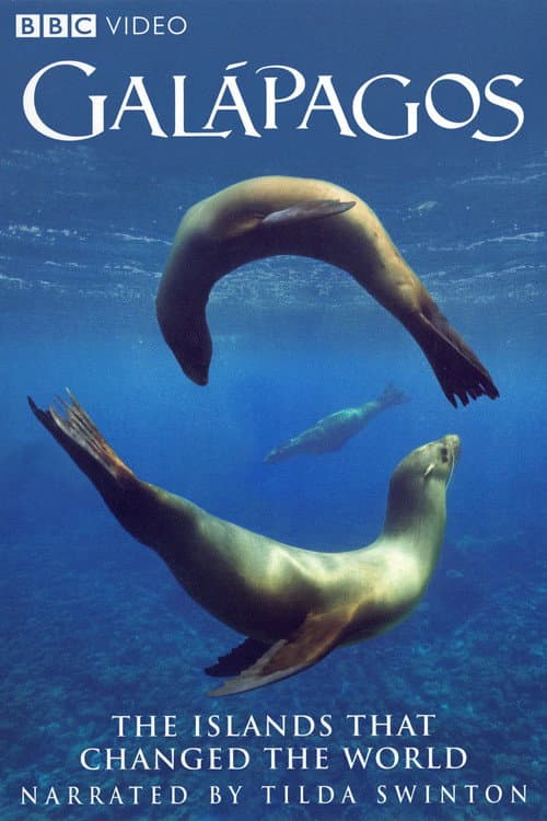 Galapagos afişi