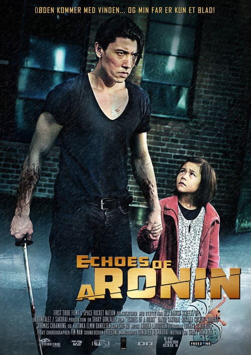 Echoes of a Ronin afişi