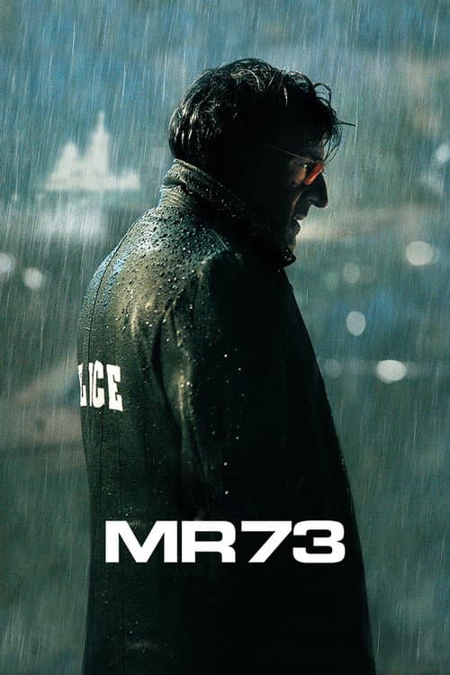 MR 73 afişi