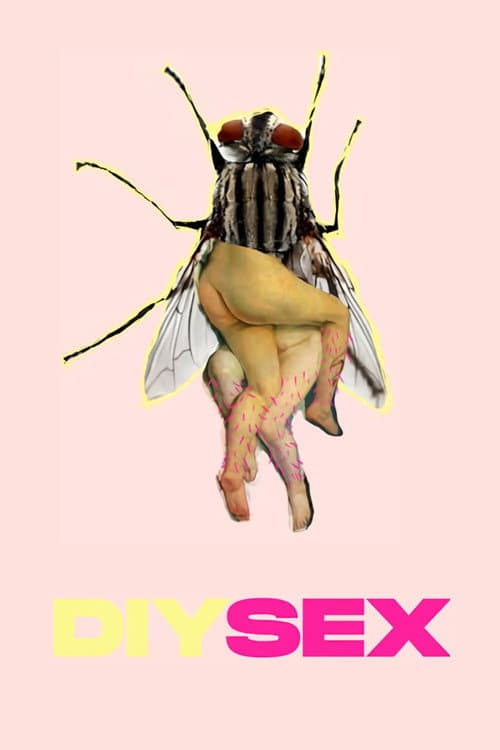 DIYSEX afişi