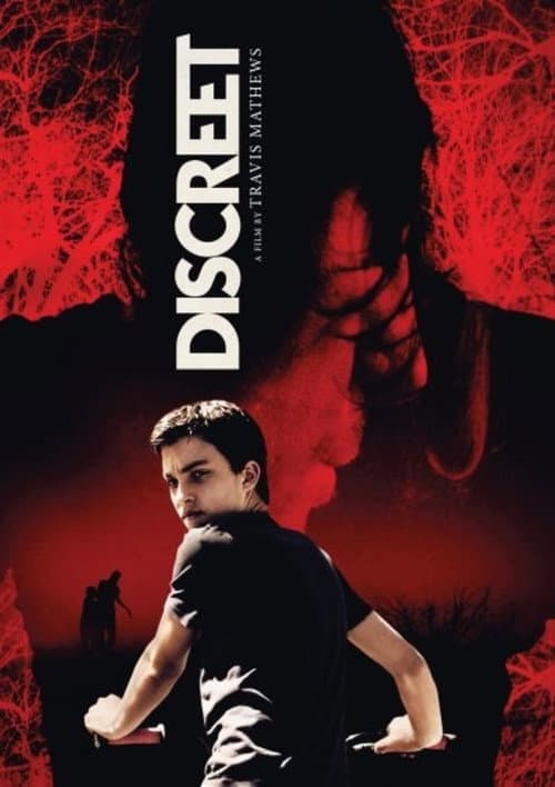 Discreet afişi
